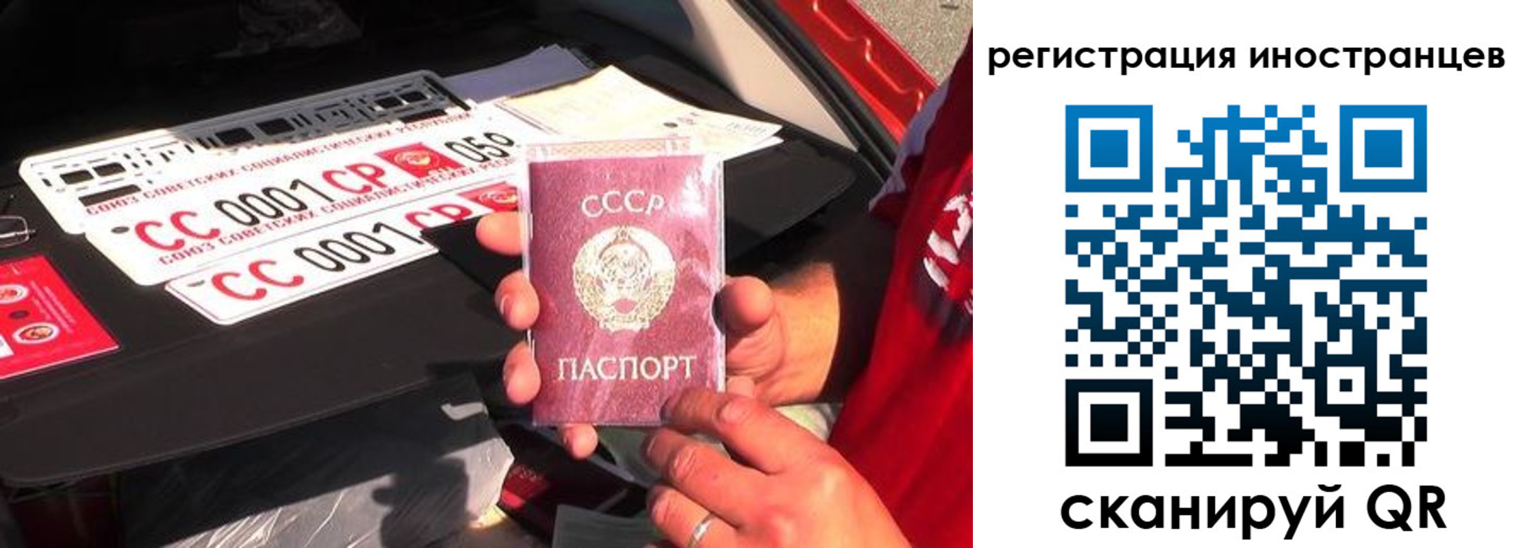 прописка гарантия в Новгородской области
